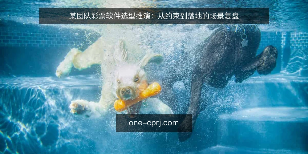 某团队彩票软件选型推演：从约束到落地的场景复盘 — 场景设定：一个需要彩票软件的团队 配图