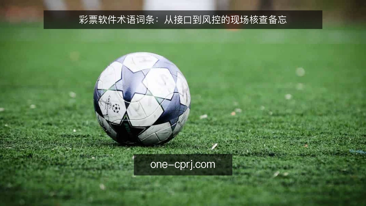 彩票软件术语词条:从接口到风控的现场核查备忘
