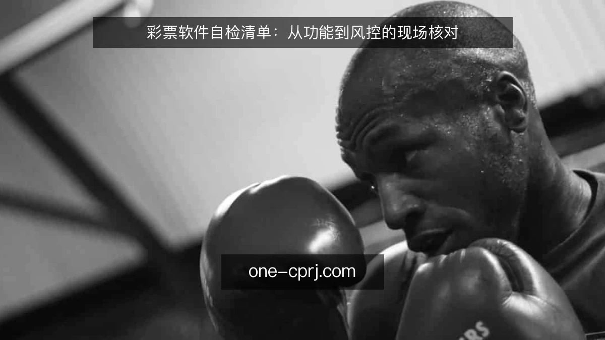 彩票软件自检清单:从功能到风控的现场核对
