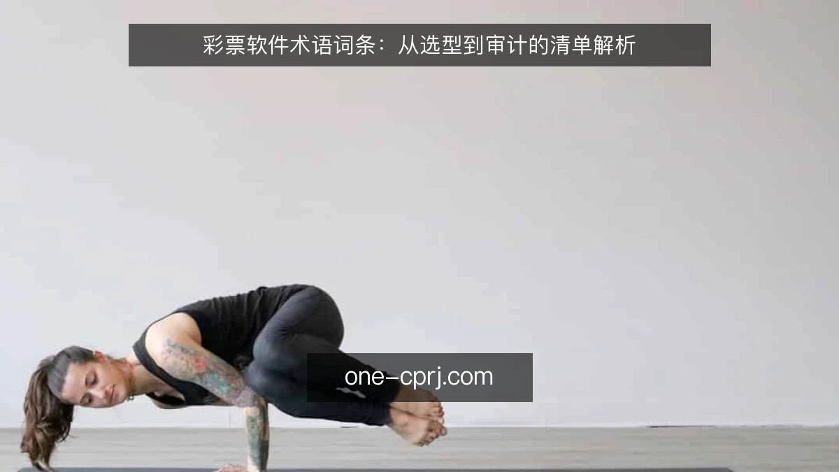 彩票软件术语词条：从选型到审计的清单解析