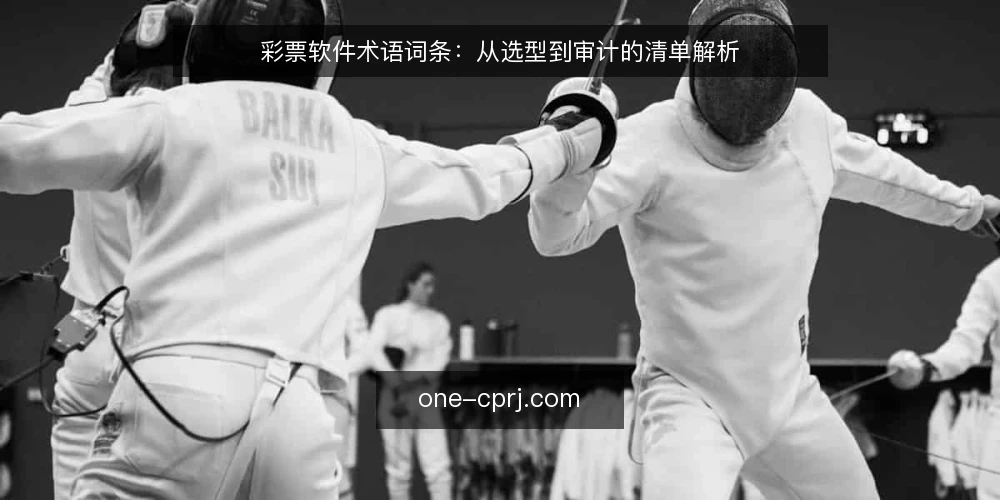 彩票软件术语词条:从选型到审计的清单解析 — 为何现在审计彩票软件术语 配图