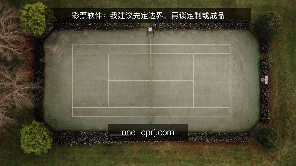 彩票软件：我建议先定边界，再谈定制或成品