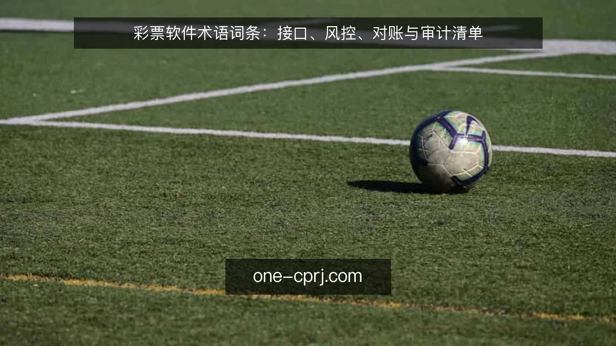 彩票软件术语词条：接口、风控、对账与审计清单