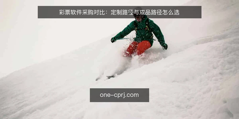 彩票软件采购对比:定制路径与成品路径怎么选 — 先定评测口径:采购前要明确的决策标准 配图