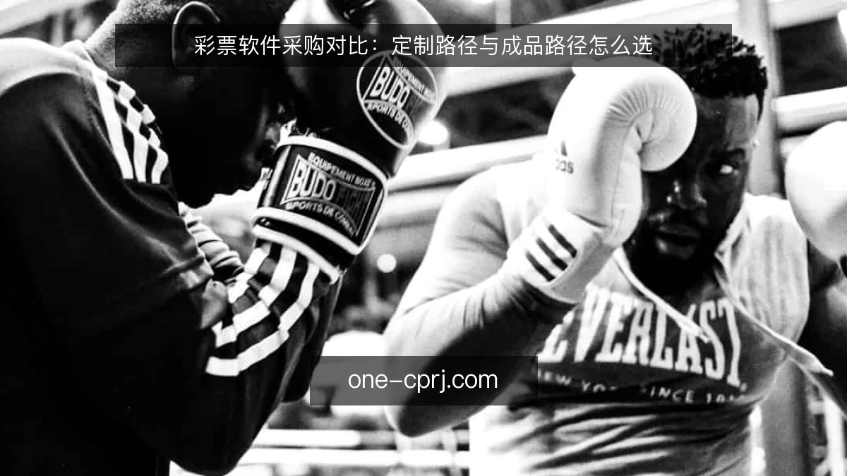 彩票软件采购对比:定制路径与成品路径怎么选